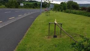 Trees and flowers ripped out in scenic Donegal town