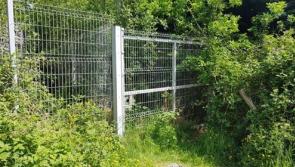 Minister to examine  access route to iconic Donegal tourist facility
