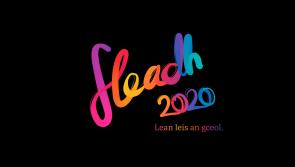 GALLERY:  Record numbers participate in global virtual fleadh with TG4 and Comhaltas Ceoltóirí Éireann