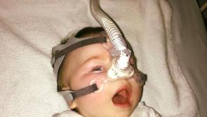 Petition launched amidst shock news that Livie must go to US for treatment available in Ireland