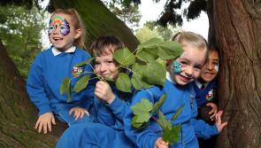 Donegal schools asked to 'Be a Force for Nature' For Tetra Pak Tree Day
