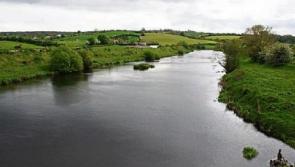 Birdwatch Ireland flags concerns about Carrigans development