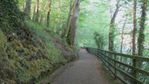 Cllrs have joined up thinking on walking trails and greenways