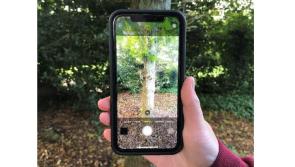 Prizes to  be won - forestry photo competition is launched