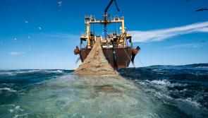 Donegal Minister urged to halt trawling  following High Court ruling