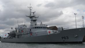 Irish Wildlife Trust calls for moratorium on all trawling within six nautical miles of the coast 