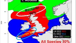 'Britain can’t have its cake and eat it' says Donegal fishing chief

