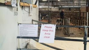 New regulations for mart operations in Donegal

