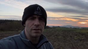 WATCH: Donegal sanctuary Wild Ireland announce tragic news about one of its most loved animals