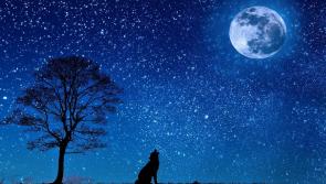Rare blue moon over Donegal this Halloween - and astronomy Ireland would love to see your photos
