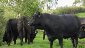 Donegal farmers told to shop around between factories 