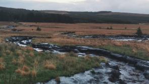 Developer halts work at controversial Donegal wind farm

