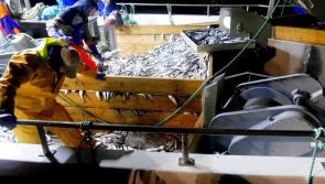 Ban boats 'hoovering up' fish stocks in Donegal