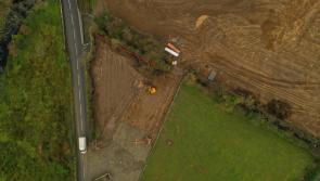 Destruction of Carndonagh's 'Dark Hedges'