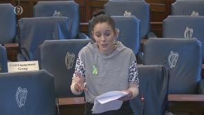 Government must ensure access for all women to domestic violence services - Donegal senator