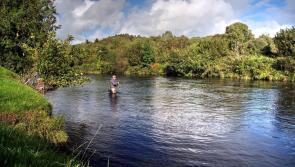 Anglers urged to make catch returns for 2020 season to support scientific research

