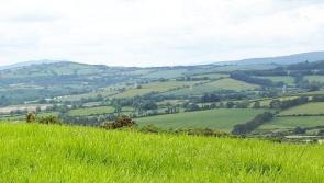Donegal minister confirms €40 million boost for farmers

