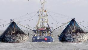Donegal TD calls for targeted income supports for Ireland’s fishing community