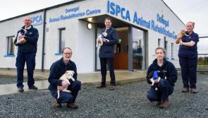 Minister visits Donegal Animal Rehabilitation Centre (ARC) 