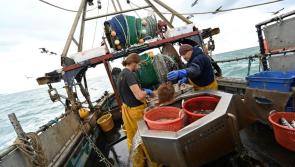Brexit deal fails Donegal fishermen

