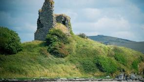 Campaign group set up to save and restore an historic local castle 