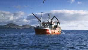 Government must push for renegotiation of Common Fisheries Policy says Donegal TD