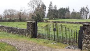 Section of Mother and Baby Homes report must be corrected say Donegal club