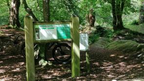 International project launched to promote Inishowen's nature as delivering health and wellbeing benefits