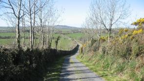 Donegal's hedge-cutting season comes to an end on Sunday week