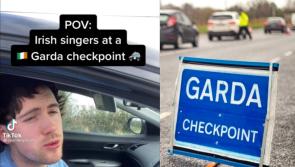 WATCH: TikToker nails it with hilarious impressions of Irish singers at a Garda checkpoint