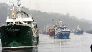 New Report published by the Irish South and West Fish Producers Organisation (ISWFPO).