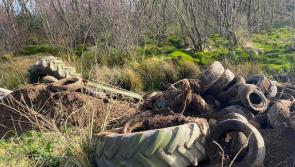 North Donegal blighted by illegal dumping