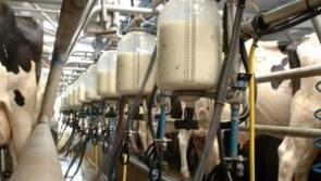 Donegal farmers expecting 34cpl for February milk

