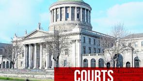 National: Man who bit garda faces 'severe penalty'