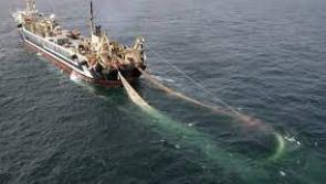 Court of Appeal decides to temporarily reinstate the exclusion of large fishing vessels