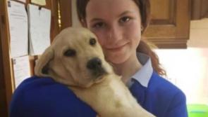 UPDATE: Unexpected news for Donegal teen Kacey who needs urgent surgery for spinal condition