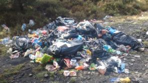 Only 14 convicted of littering offences in Donegal between 2015-2020
