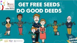 Donegal Library Service giving away free seed packs as part of new biodiversity initiative