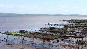 Irregular behaviour on western bank of Lough Foyle
