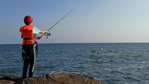 Donegal sea anglers invited to partake in survey