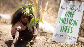 Charity hits million tree milestone thanks to support from County Donegal