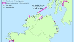 Donegal coastal waters will be part of Europe's largest fish counter project

