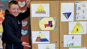 Donegal student is voted FBD Farm Safe School regional champion for Ulster