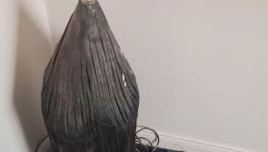 Can you help find the owner of this lamp donated to Animals in Need? 
