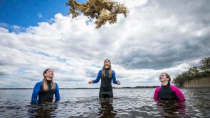 Donegal students wanted for BT Young Scientist & Technology Exhibition 2022

