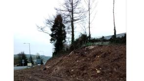 Donegal school fuming at Co Council decision to demolish rich wild habitat