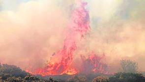 Cllrs voice frustration over Rapid Response Unit