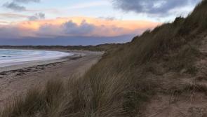 Surveying of beaches completed and councillors query next steps on coastal erosion 