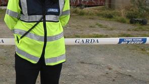 Bones found in Donegal forest
