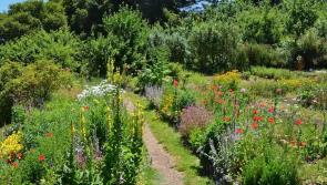 Farm Environmental Study launched